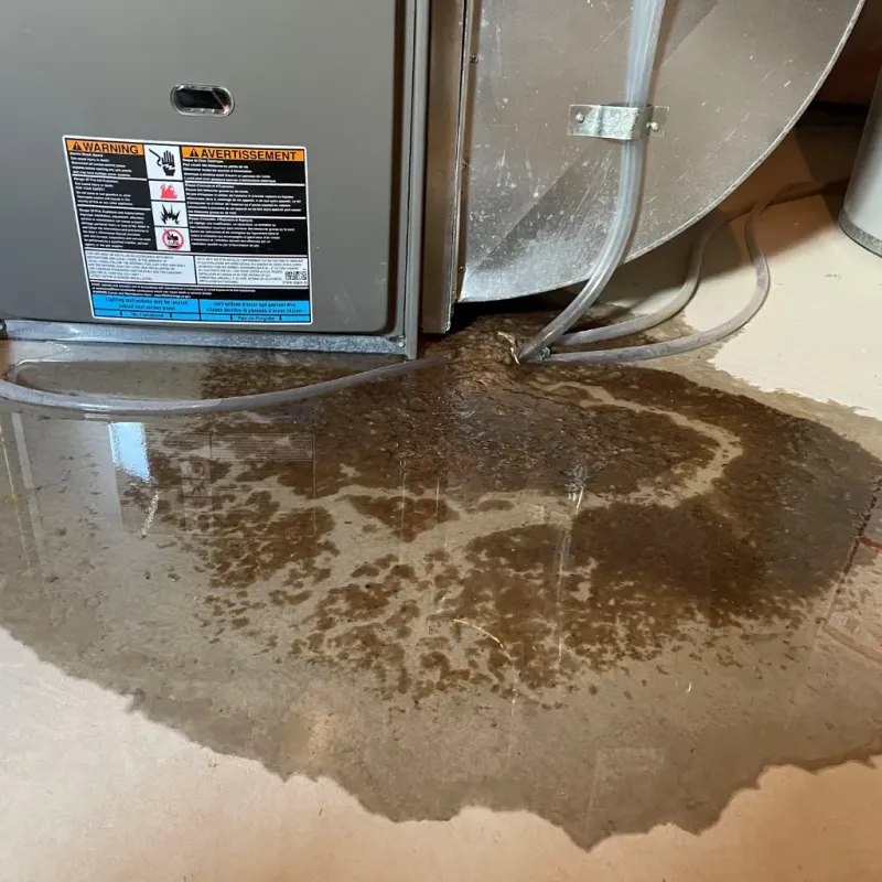 Appliance Leak Cleanup in Wilburton, OK